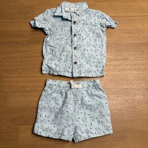 Tommy Bahama Aqua Dolphin Print Shirt and Shorts